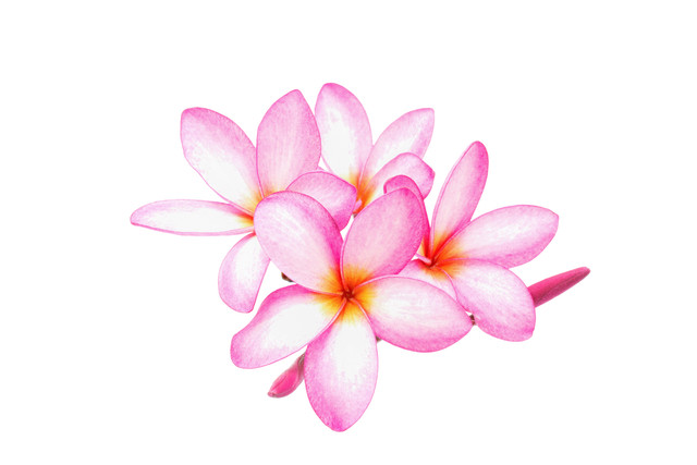 shutterstock 690481948.jpg