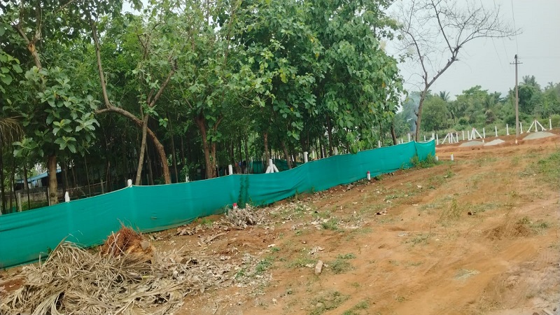 Image-4