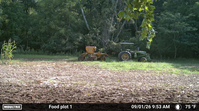 IMG 2047