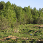 DSC3520