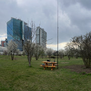 IMG-8753