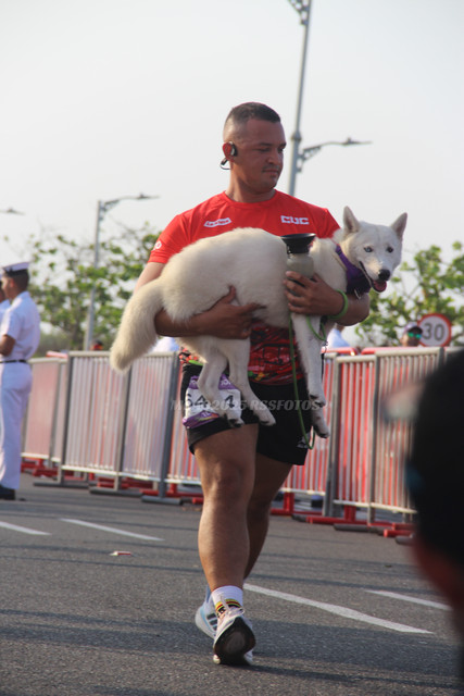 IMG-0384.jpg