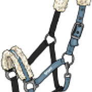 ws riimu1 1