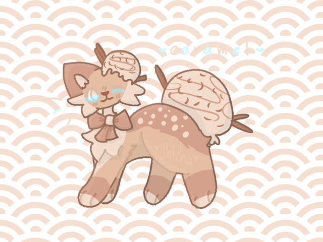 c-a-r-a-m-e-l-fullbody