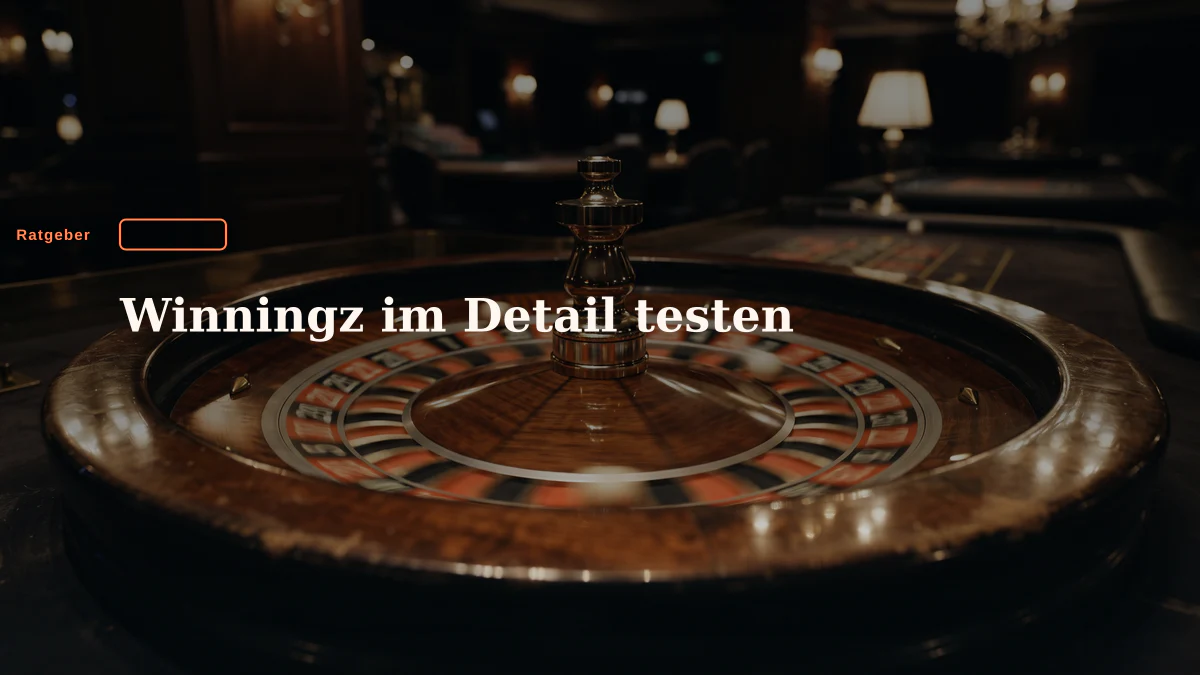 Winningz im Detail testen