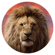 2101959-Mufasa-Ana