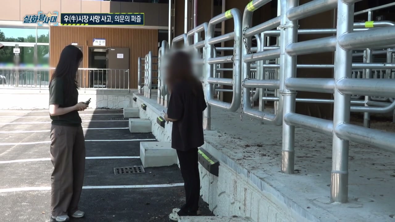 실화탐사대 장성 우시장 사망사고 추가 캡처 4