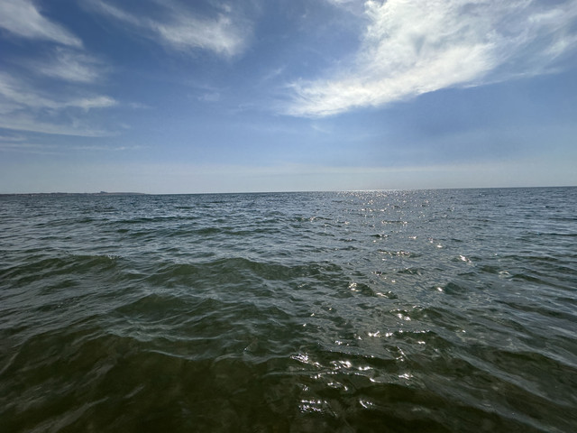 IMG 0128