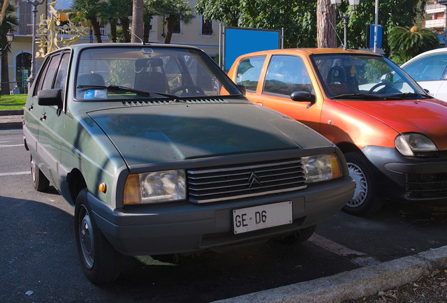 i.ibb.co/XxPv6ynB/DSC-0033-Copia-2.jpg