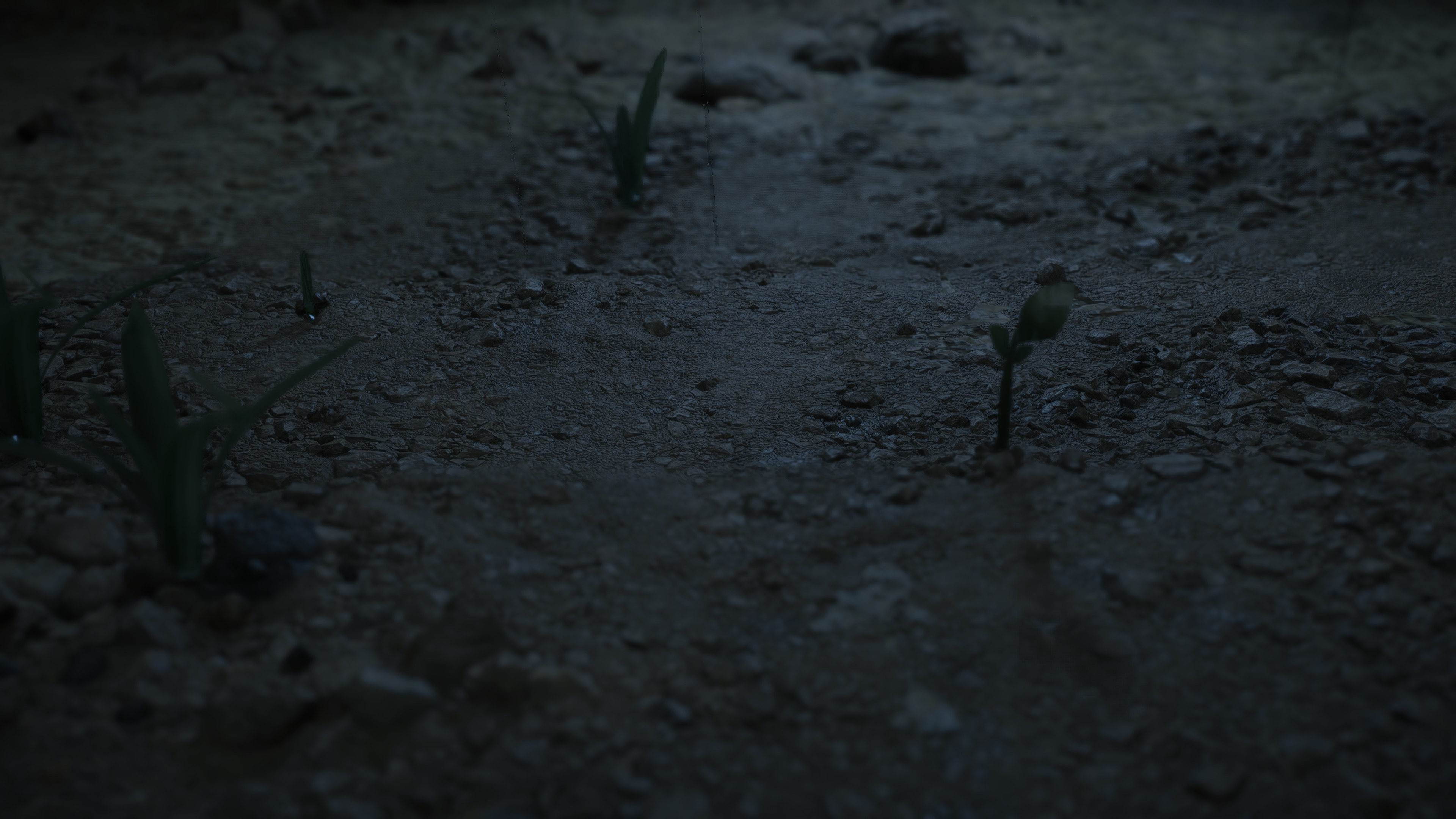 2049B0-1.jpg