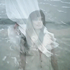 14.gif