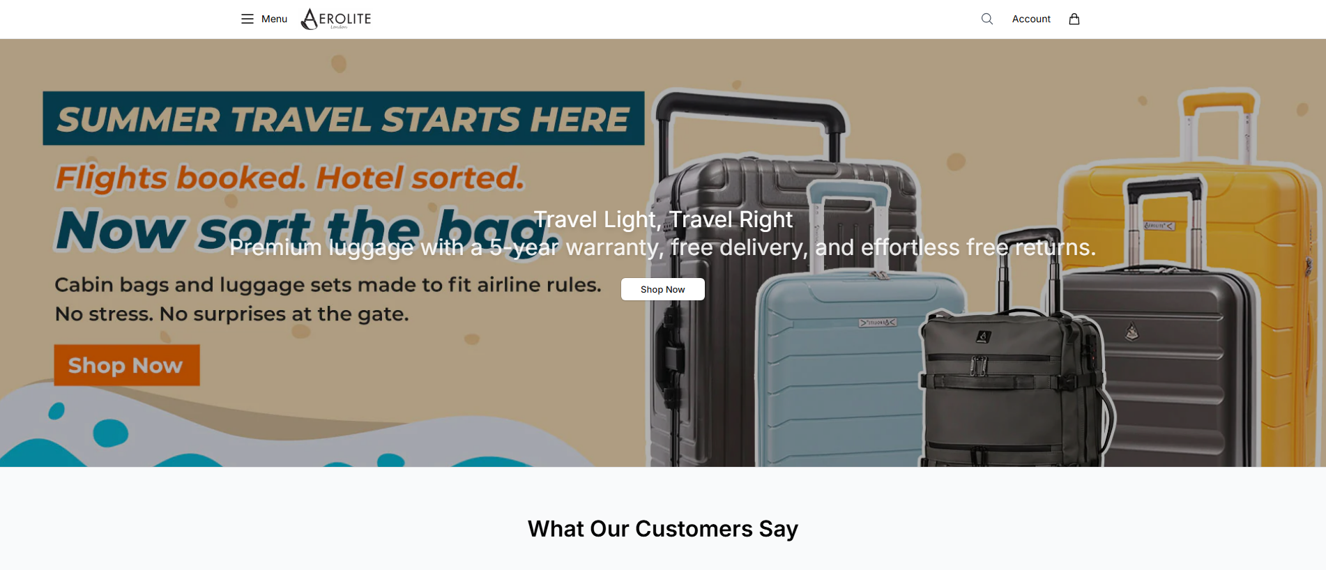 Stored capture of aerolitefashion.shop