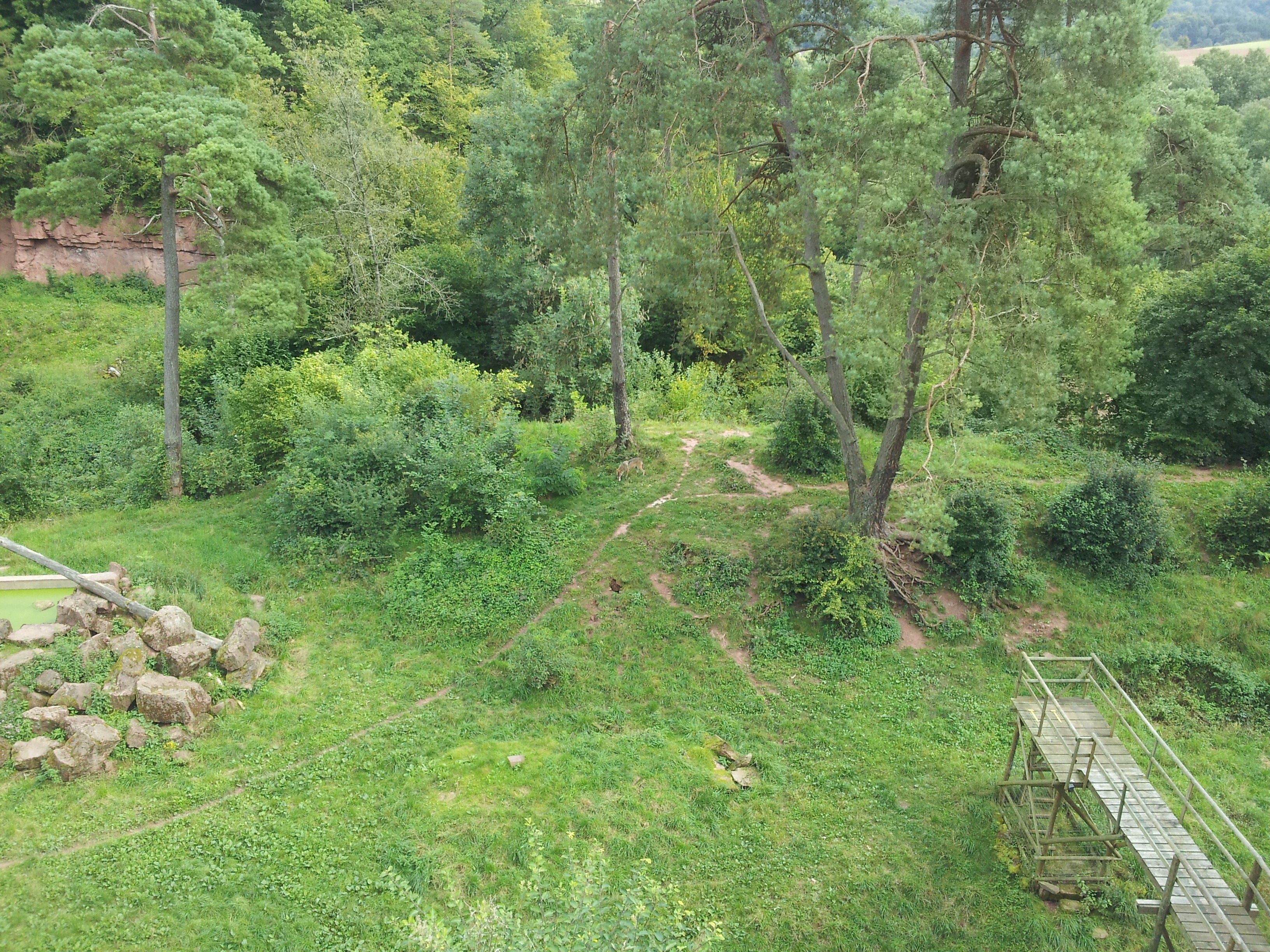 20140823 151041