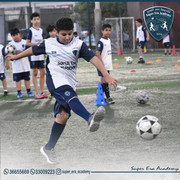 DSC 0270