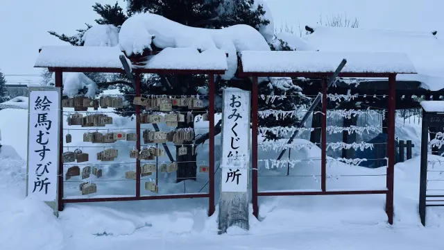 美瑛神社2.webp
