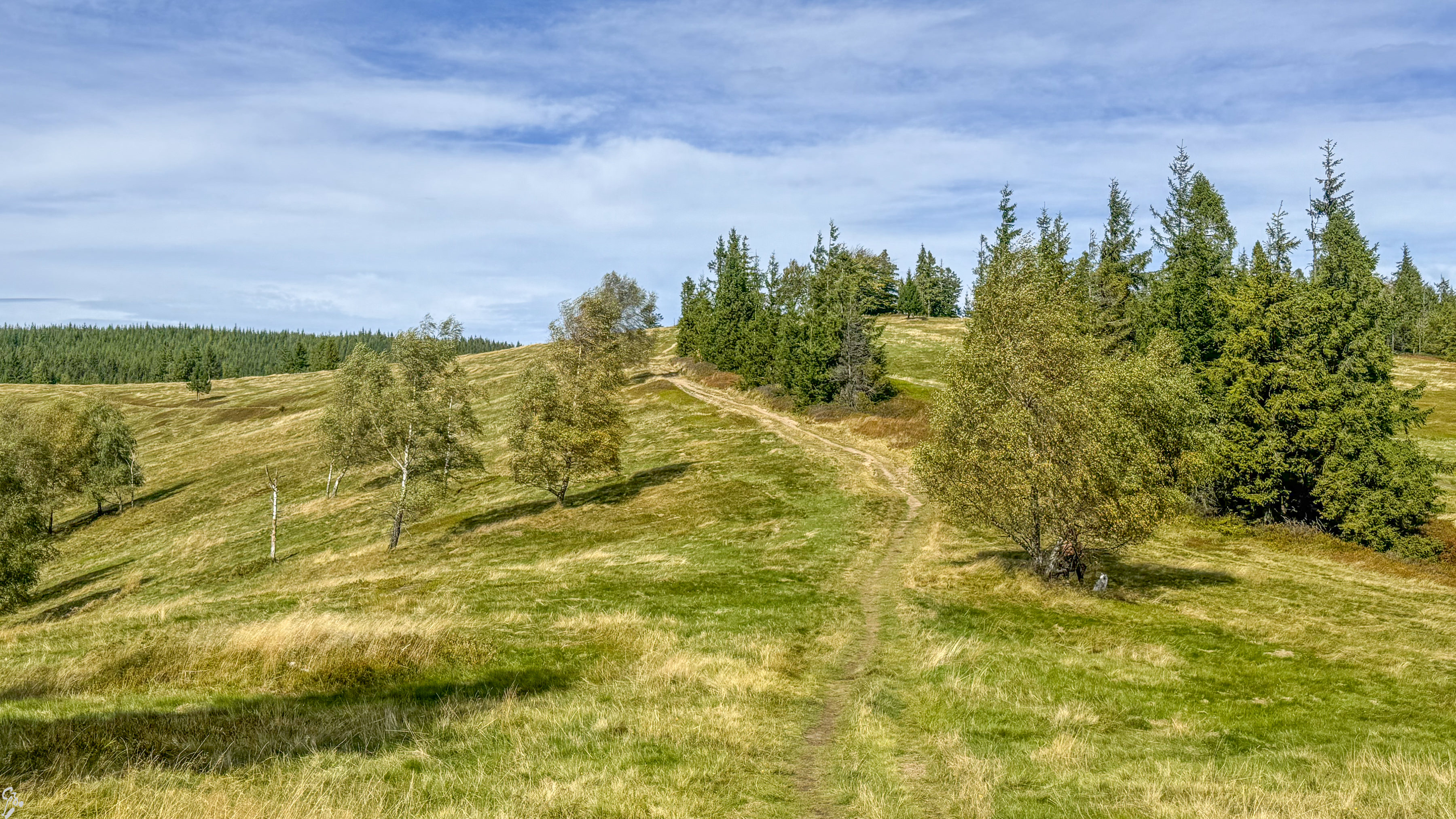 beskidy 06