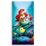 31001450-Pequena-Sereia