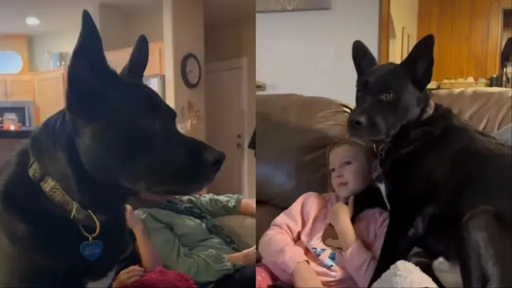 Rescue Dog's Unconditional Love for Kids Wins Hearts