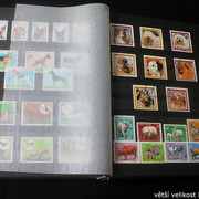 IMG-2272