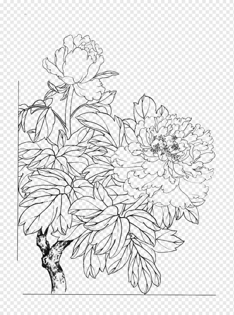 av11hcwb7.webp