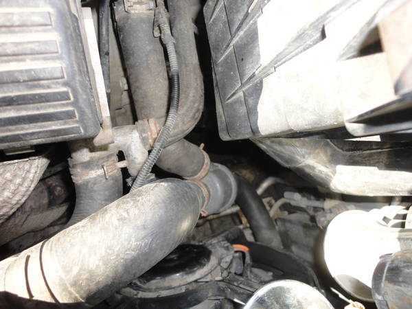 https://i.ibb.co/XxXqM6ZW/0FBnw.jpg