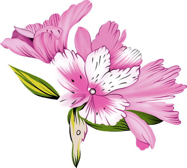 a35fdef793608b2ebf24dfa785c77b2e.png