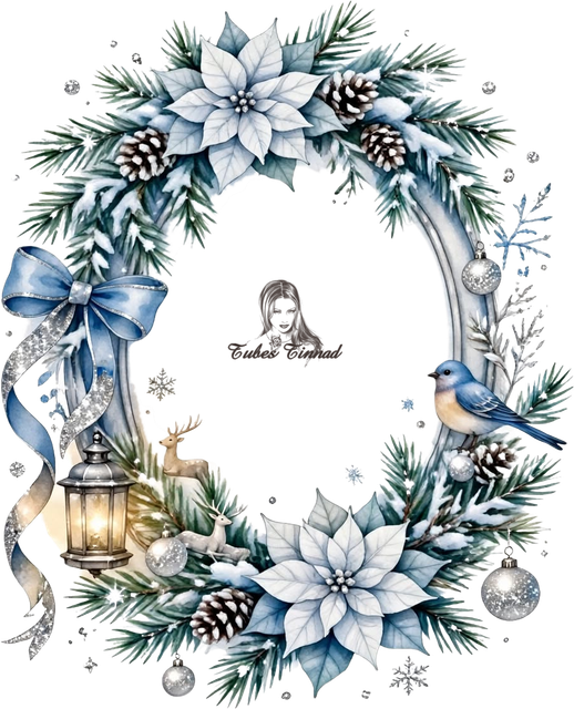 Image6.png
