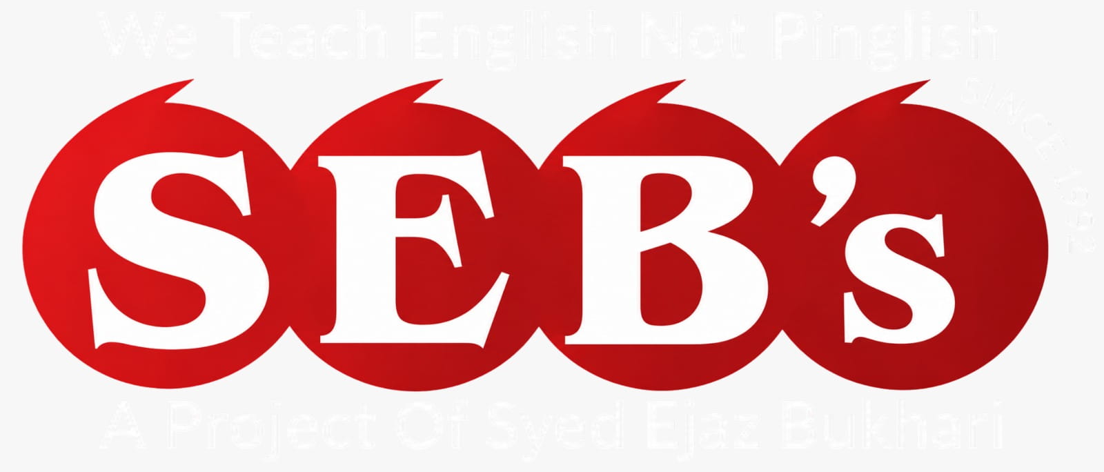 SEB's Institute Logo