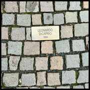 comp IMG 6175