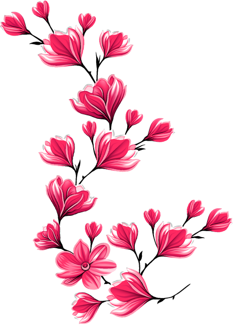 17e2d3cbfee676fac404d9782e6c81cf.png