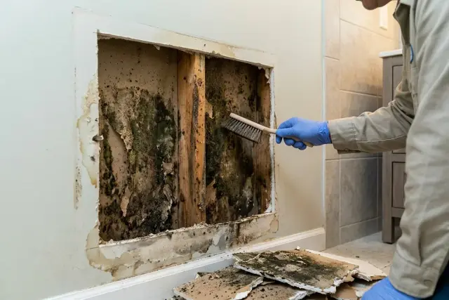 Discovering mold in bathroom walls causes instant panic for families.