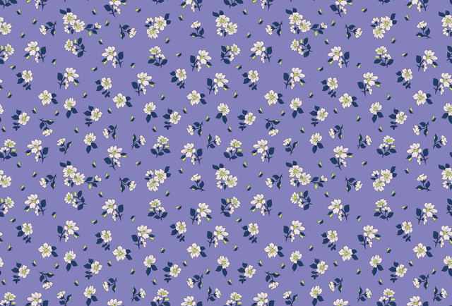 58.jpg