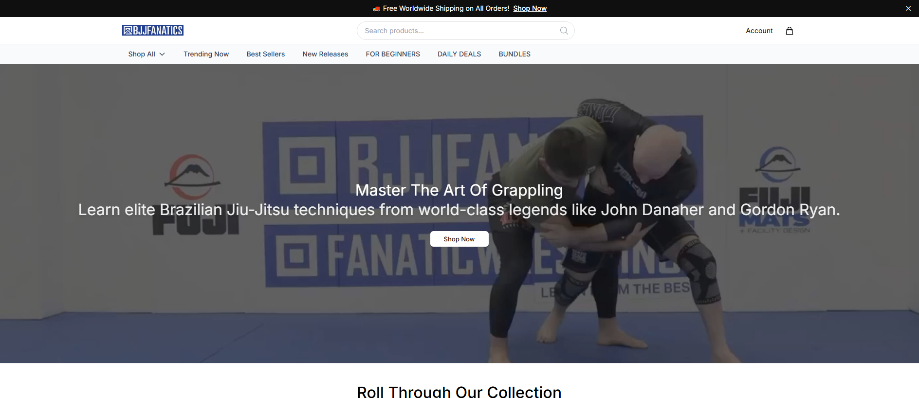 Primary capture · bjjsupply.shop