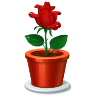 196.png