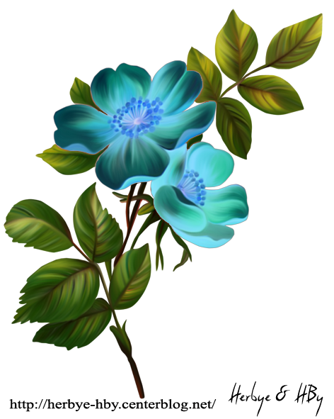 e47a7928bb5c54a69e3db9a2fc0727be.png