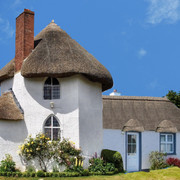 Harry s Place