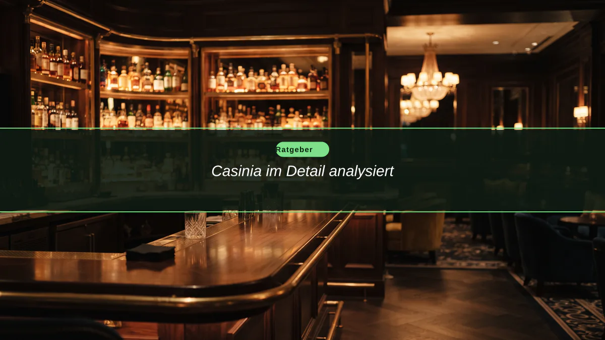 Casinia im Detail analysiert
