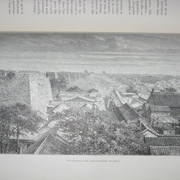 IMG 9695
