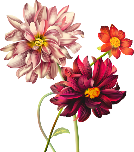 25731968eb09d2d25cc5afa83108850d Copy.png