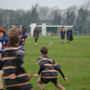DSC 0986