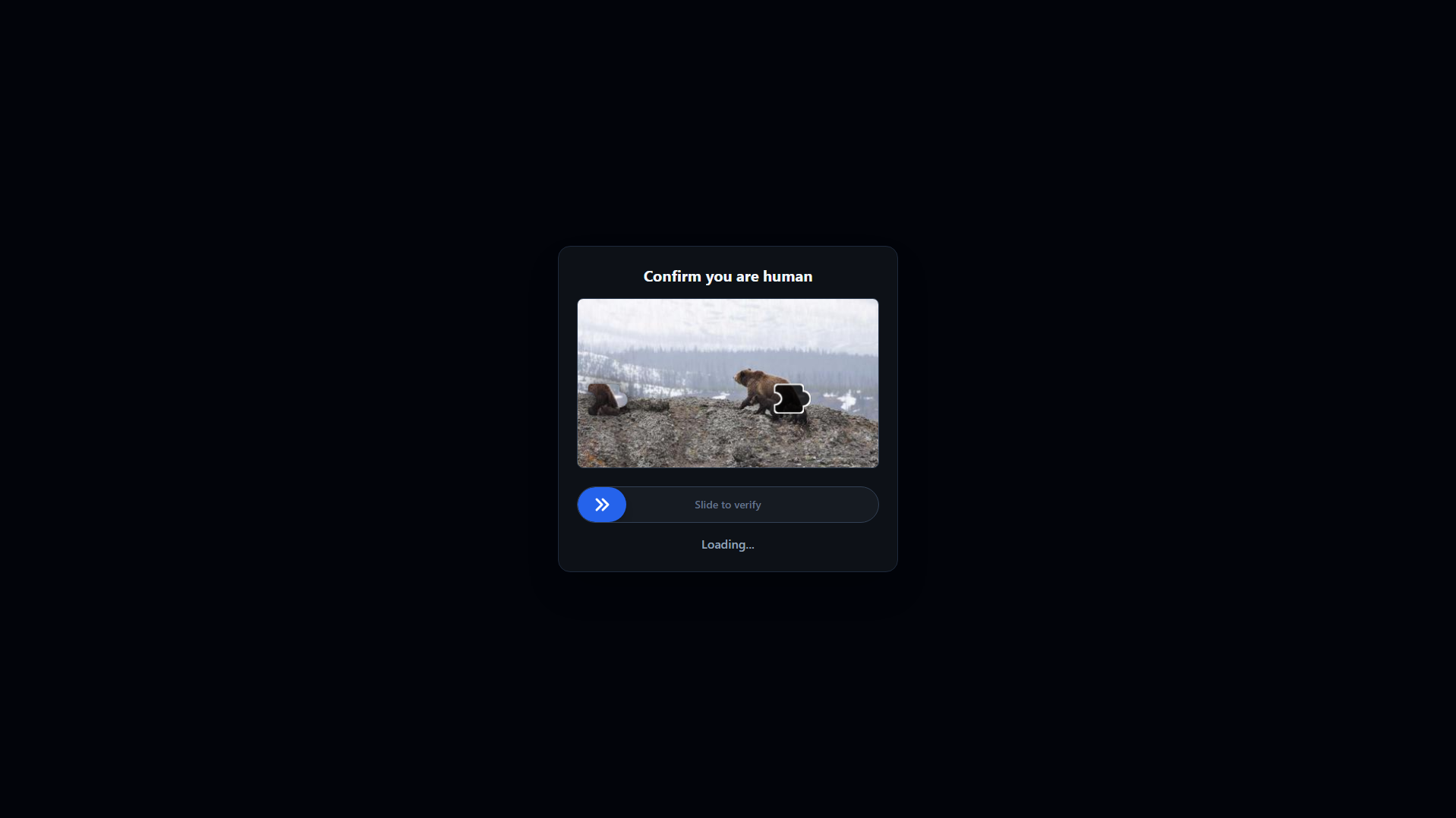 Forensic screenshot of [REDACTED] showing the phishing page layout