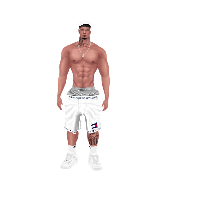 hi Res No Bg3.png