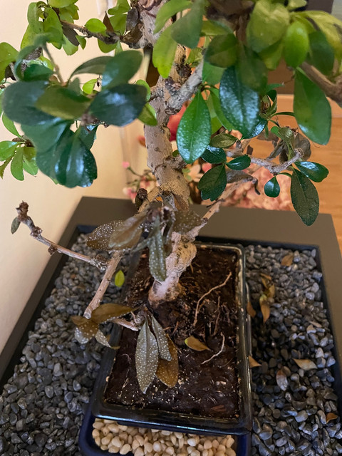Unknown-1