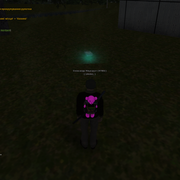 image 37