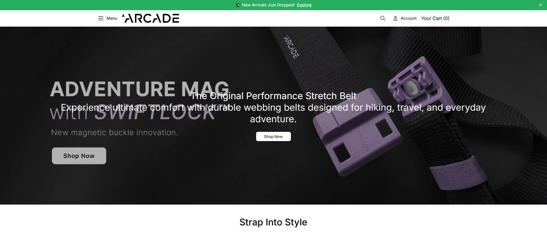 Stored capture of arcadebeltsfashion.shop