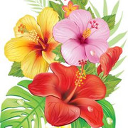 c37c6392ce78dfef5170b7f5f925e06e