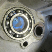 IMG-8612
