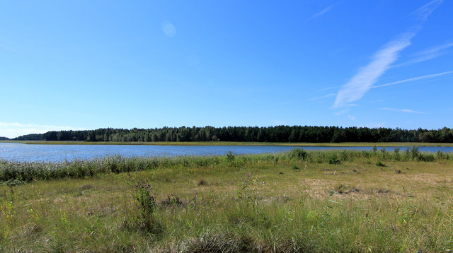 IMG-1505