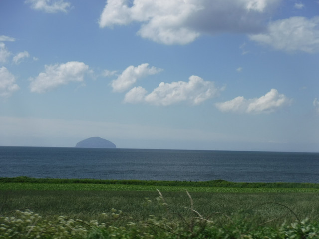 DSCF7943.jpg