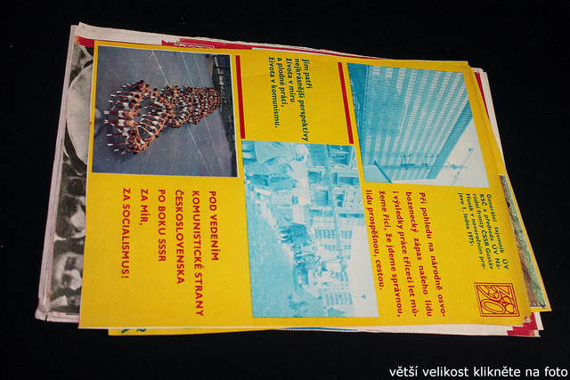 IMG-8637.jpg